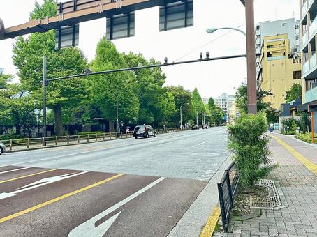 台東区上野周辺 道路 台東区上野周辺 道路 街並み,歩道,道路の写真素材