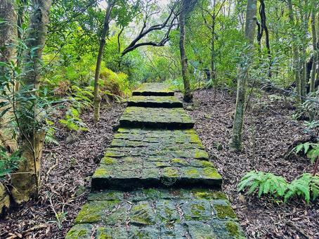 古道　苔　石段 古道,苔,石段の写真素材