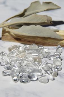 Photo, palo santo, holy tree, fragrant wood, 
