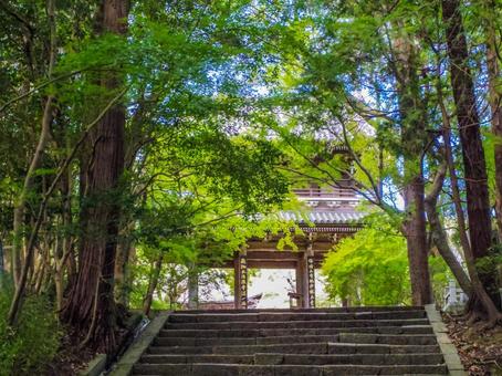 【山口県】下関市・功山寺 功山寺,長府,下関の写真素材