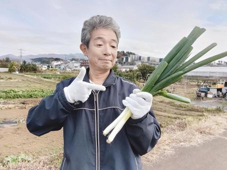 兼業農家のシニア男性 シニア,シニア男性,50代の写真素材