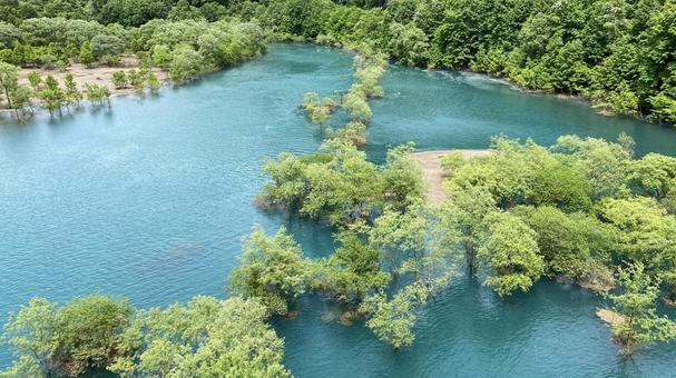 水没林 水没林 水没林,湖,エメラルドグリーンの写真素材