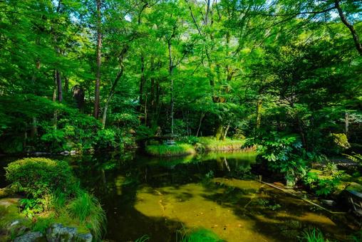 【岐阜】岐阜公園 2025 【岐阜】岐阜公園 2025の写真