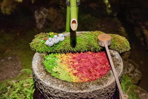 グラデーションが美しい楊谷寺の花手水 グラデーションが美しい楊谷寺の花手水の写真