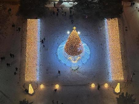 大通公園 大通公園の写真