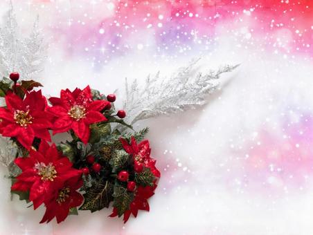クリスマス（心温まるクリスマスを）5 クリスマス,ポインセチア,冬の写真素材
