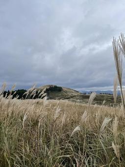 ススキの高原 秋,空,ススキの写真素材