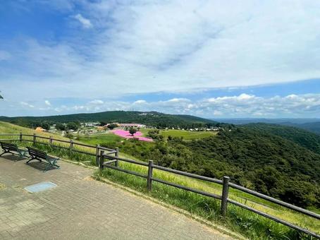マザー牧場 マザー牧場 絶景,景色,鮮やかの写真素材