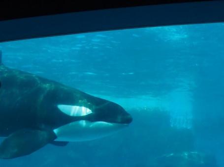 海 海の写真
