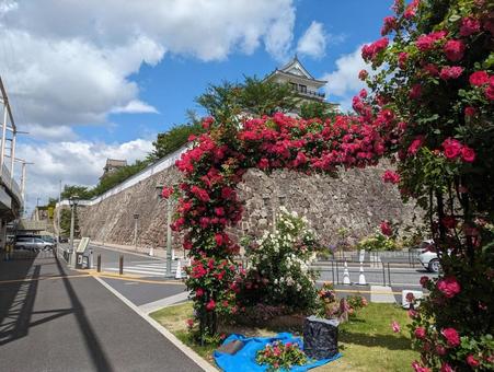 JR福山駅前の薔薇と福山城と青空 JR福山駅前の薔薇と福山城と青空の写真