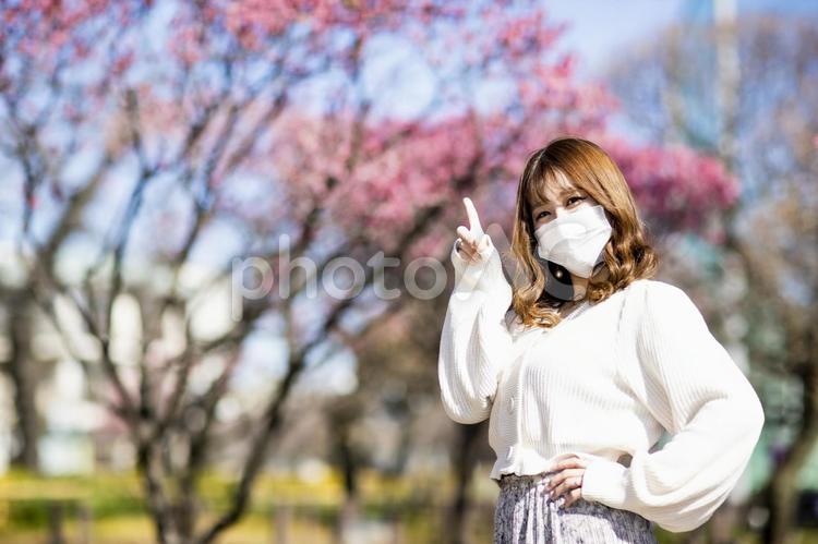 マスクありで指差しする女性 採用,マスク,マスクありの写真素材