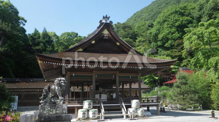 丹波国一之宮 出雲大神宮 拝殿と御神体山 出雲大神宮,出雲神社,元出雲の写真素材