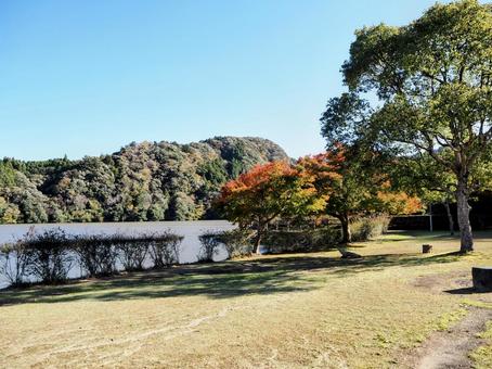 秋の亀山湖・楓の木の紅葉（千葉県君津市） 秋,亀山湖,紅葉の写真素材