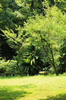 公園のベンチ 公園のベンチの写真