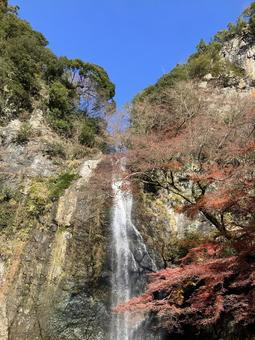 箕面 箕面の写真
