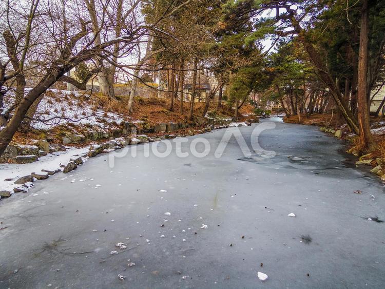 【岩手県】冬の盛岡城跡公園 盛岡城跡公園,盛岡城址,池の写真素材