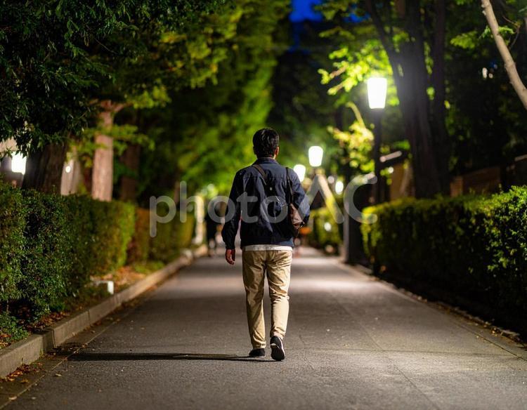 街灯の下を歩く男性の後ろ姿 夜,夏,住宅街の写真素材