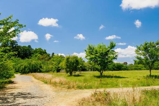 真夏の公園⑼ 真夏の公園⑼ 公園,夏,日差しの写真素材