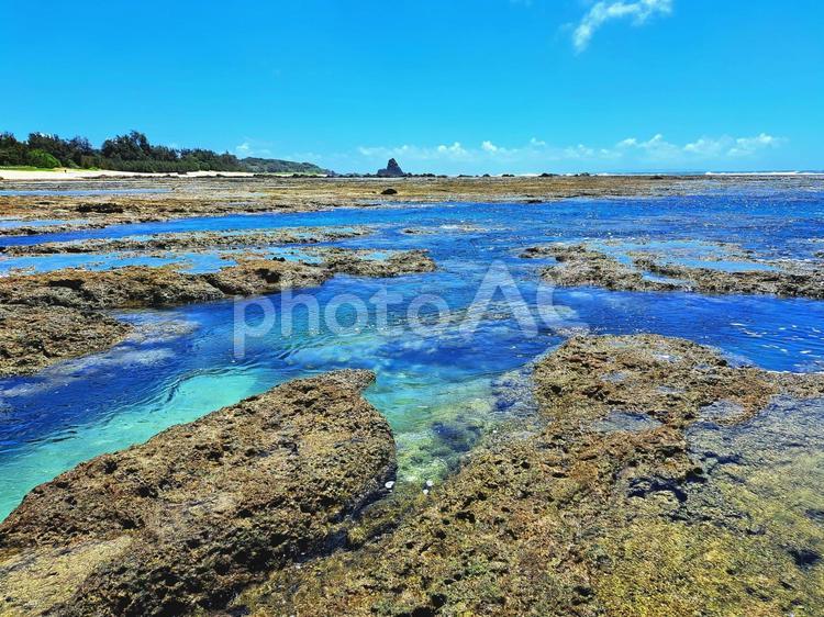 奄美のエメラルドグリーンの海 海,風景,エメラルドグリーンの写真素材