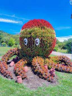 Photo, octopus, flower bed, akashi kaikyo park, 