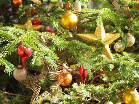 クリスマス クリスマスの写真