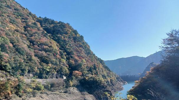 山の紅葉の写真