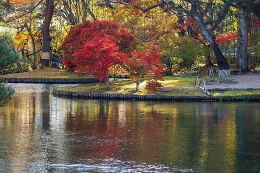 秋の有備館⑶ 有備館,秋,紅葉の写真素材