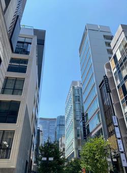 銀座から日比谷を望む 銀座から日比谷を望むの写真