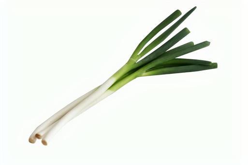 Photo, green onion, vegetables, foodstuff, 