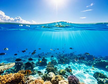 海の風景 夏 水中の様子1 海の風景 夏 水中の様子1の写真