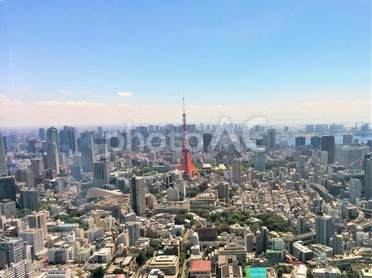 東京タワーを六本木ヒルズから見る・晴れ 東京タワー,六本木ヒルズ,晴れの写真素材
