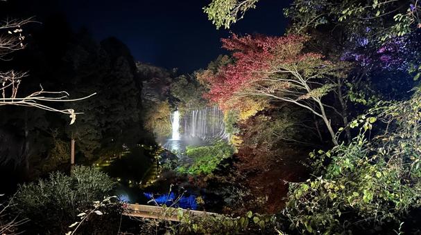 白糸の滝ライトアップ 白糸の滝,富士宮,静岡の写真素材