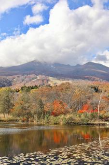 紅葉　妙高高原　いもり池 秋,自然,湖の写真素材