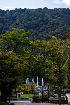 吉香公園 吉香公園 自然,山口県,岩国市の写真素材