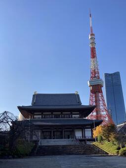 増上寺と東京タワー 東京タワー,増上寺,東京の写真素材