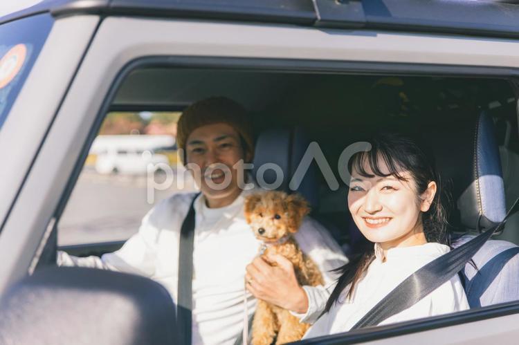 車でお出かけする犬と男女（車内） 車,旅行,ドライブの写真素材