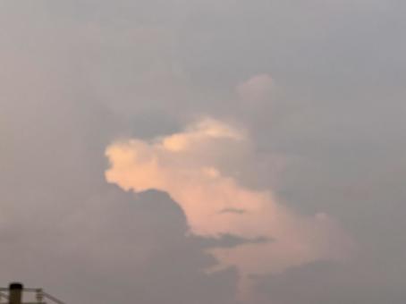 夏の雲 夏の雲の写真