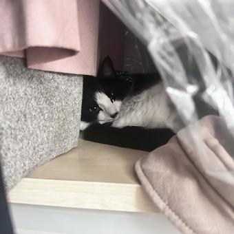 隠れ家 隠れ家の写真