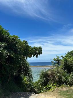 海へ続く道、青空、水平線、美しいビーチ 海へ続く道、青空、水平線、美しいビーチの写真
