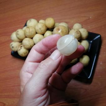 ロンゴーン ロンゴーンの写真