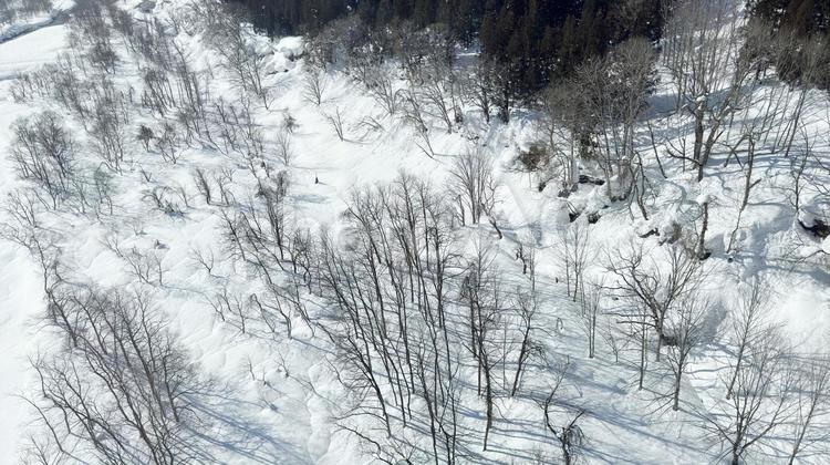 雪国　川と森の空撮　ドローン撮影 川,雪国,ゴンドラの写真素材