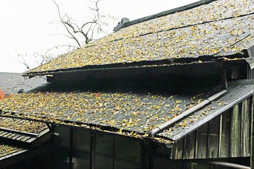 落ち葉が一杯なトタン屋根 古家,戸,植物の写真素材