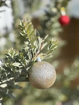 クリスマスツリーオーナメント 金色 モミ,枝先,枝の写真素材