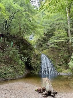 阿寺の七滝 阿寺の七滝 阿寺の七滝,滝,自然の写真素材
