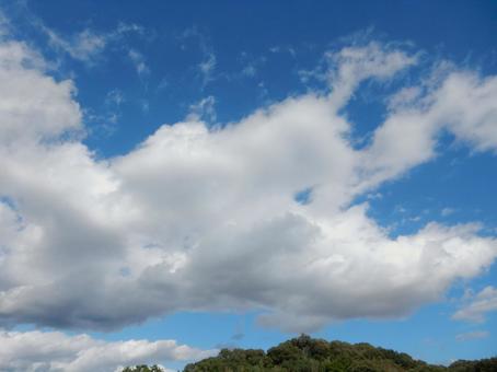 【空の写真】秋空の写真