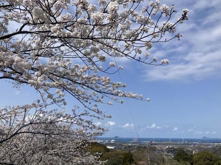 高塔山公園 高塔山公園の写真