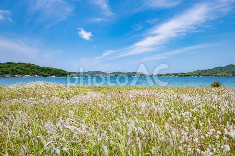 海岸沿いから眺める海の景色 海,海岸,海岸沿いの写真素材