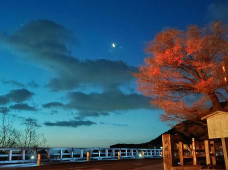 夜明け前の渡月橋 夜明け前の渡月橋の写真