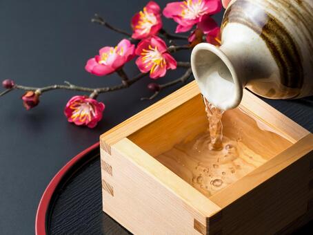 枡に注がれる日本酒と梅の花の静物 日本酒,酒,和酒の写真素材
