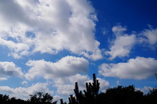 晴れた日の空 晴れた日の空の写真